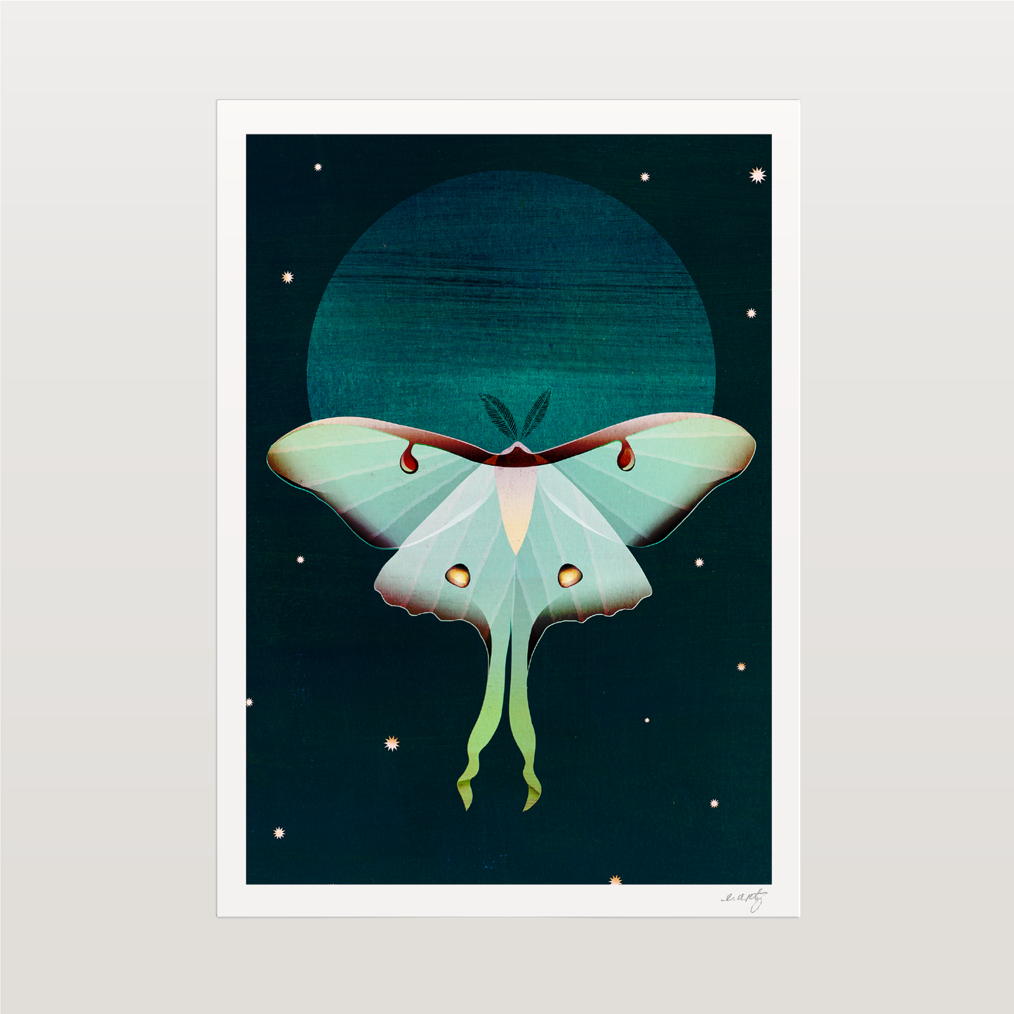 Luna Moth