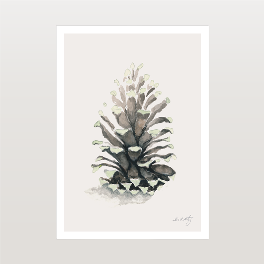 Pinecone